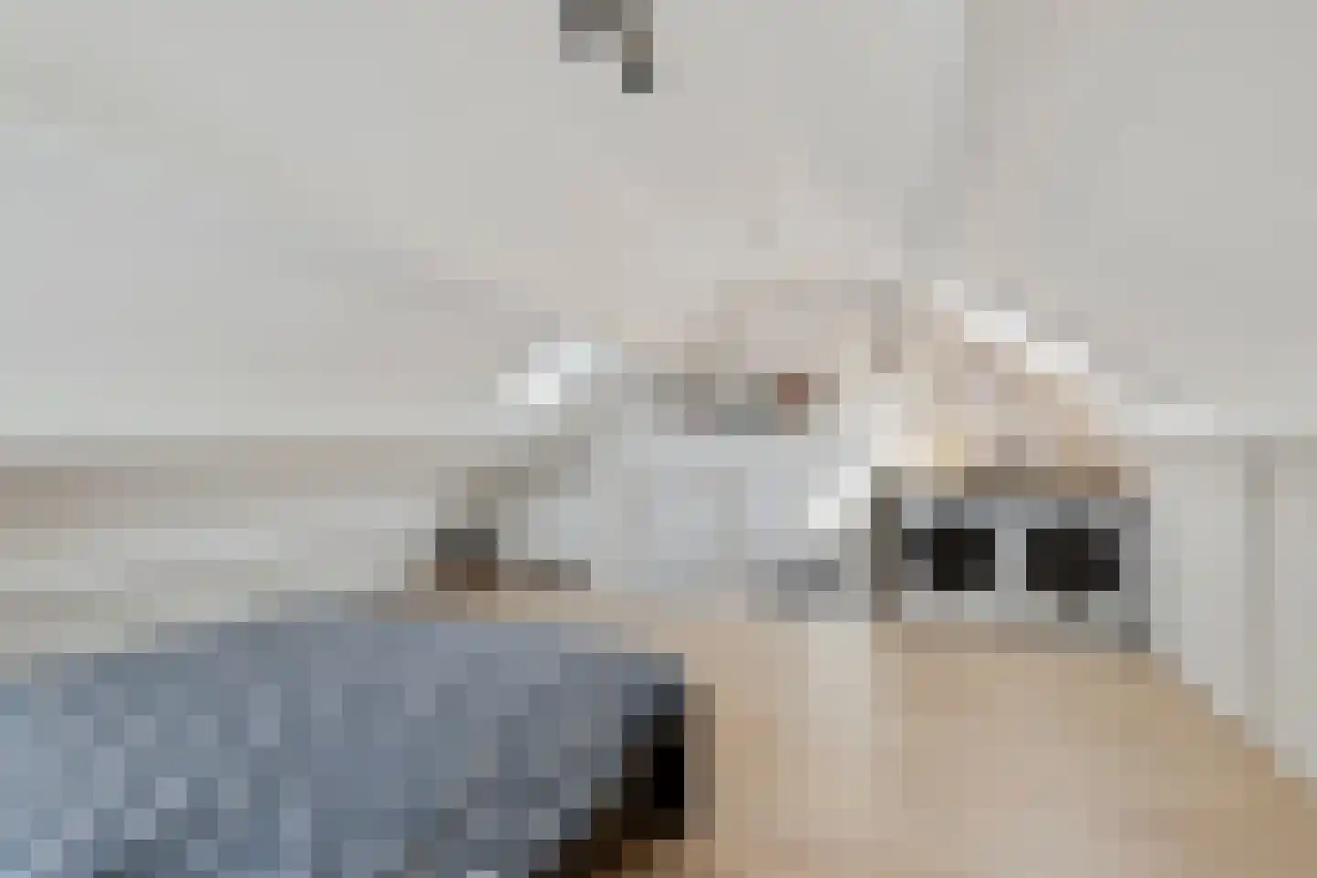 Hazeleger 33 Etten-Leur thumbnail 18