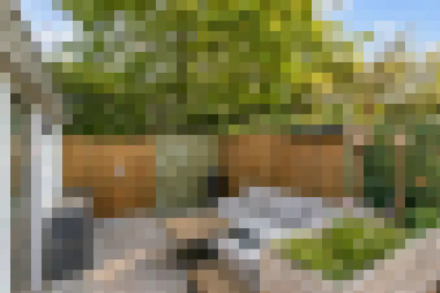 Hazeleger 33 Etten-Leur thumbnail 22