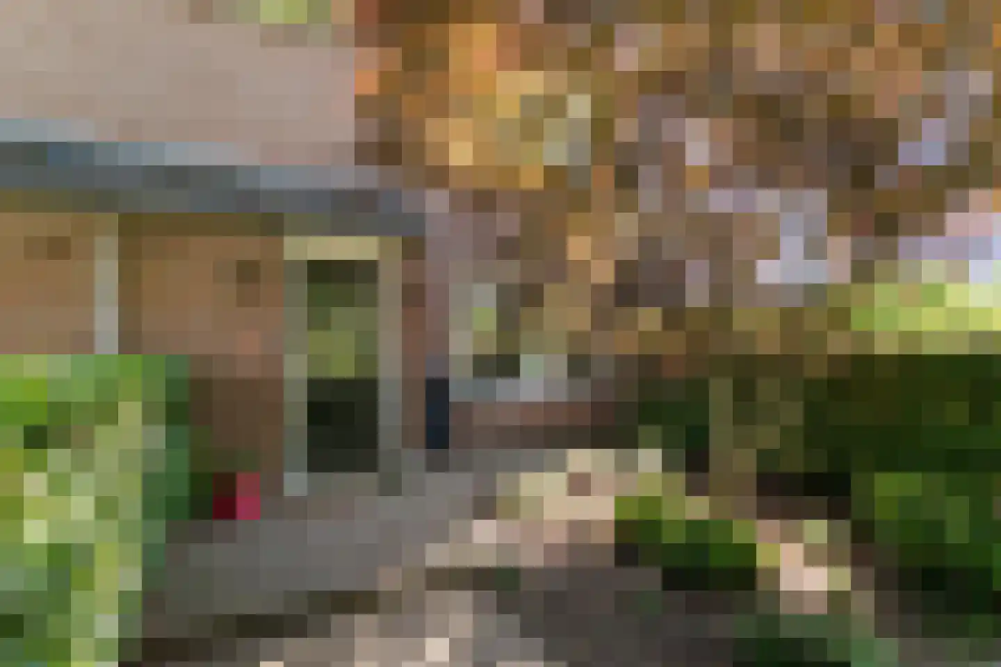 Hazeleger 33 Etten-Leur thumbnail 23