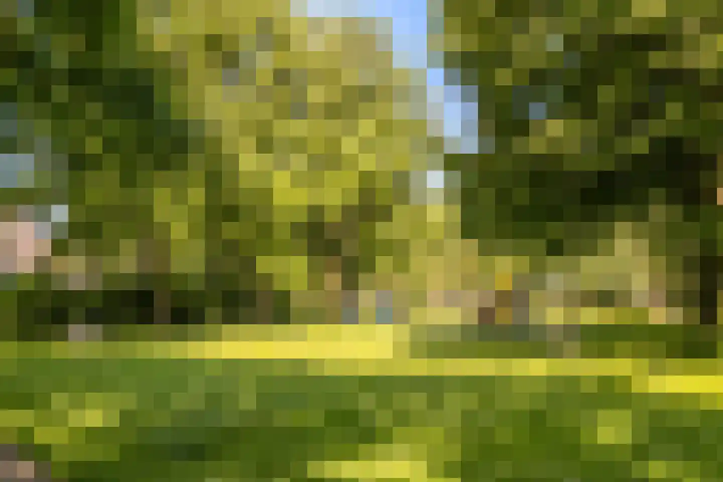 Hazeleger 33 Etten-Leur thumbnail 25