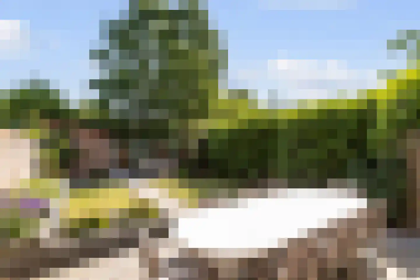 Hazeleger 33 Etten-Leur thumbnail 4
