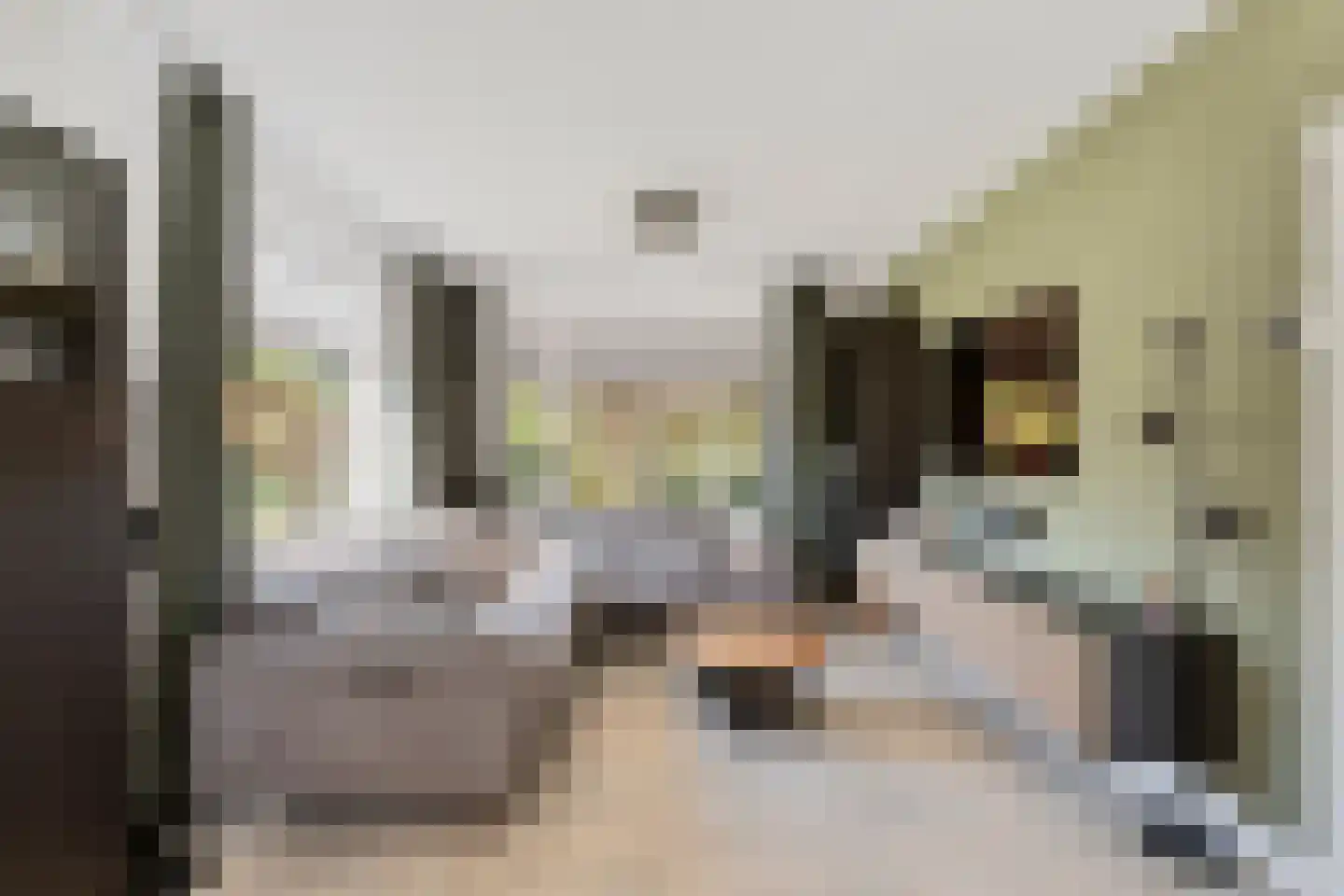 Hazeleger 33 Etten-Leur thumbnail 7