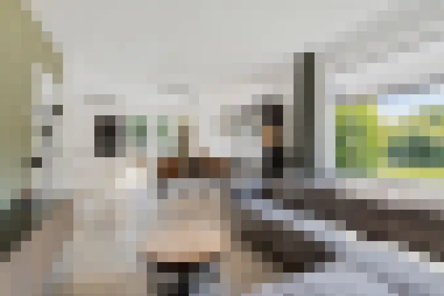 Hazeleger 33 Etten-Leur thumbnail 8