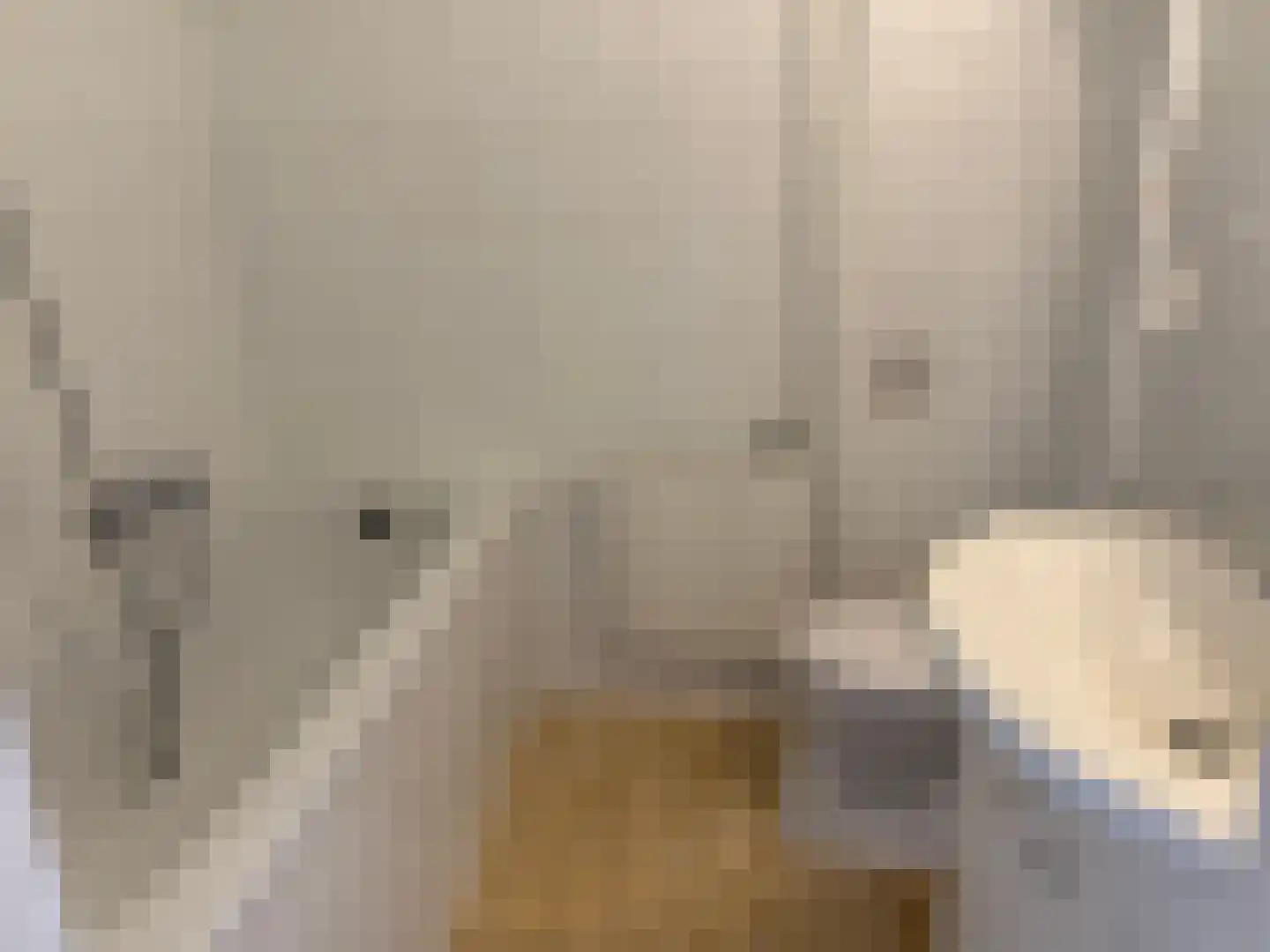 Hazeleger 45 Cuijk thumbnail 10