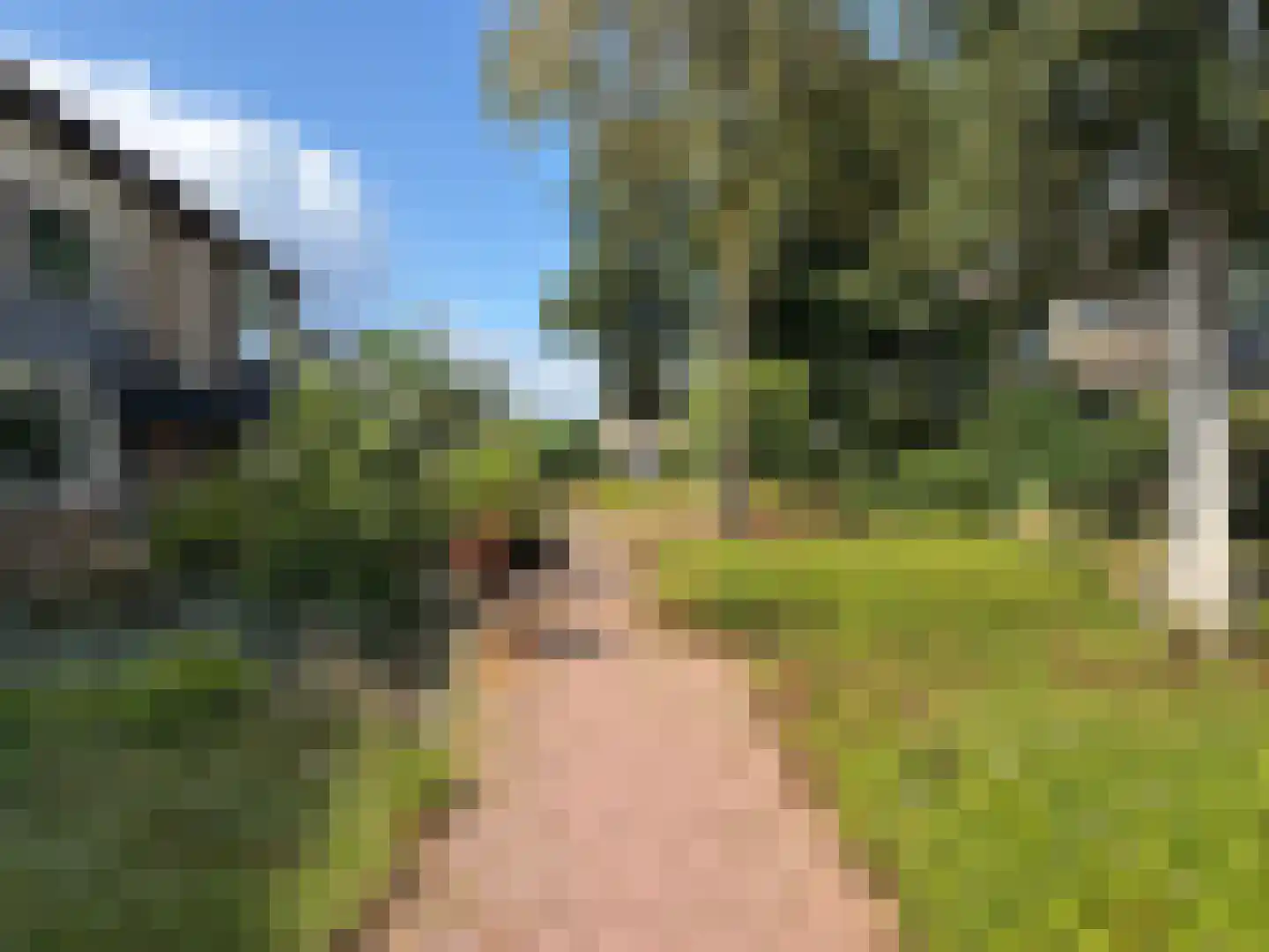 Hazeleger 45 Cuijk thumbnail 16