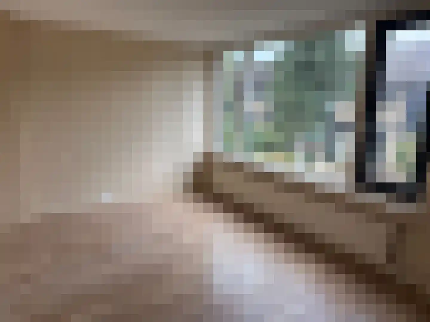 Hazeleger 45 Cuijk thumbnail 6