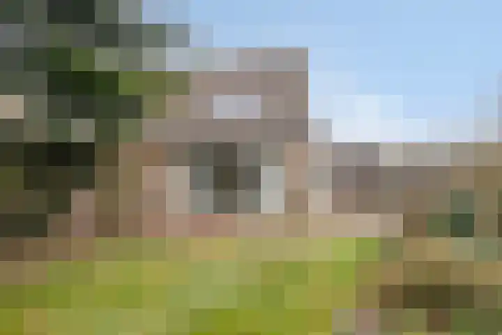 Hazeleger 46 Zeewolde thumbnail 29