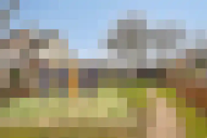 Hazeleger 46 Zeewolde thumbnail 32