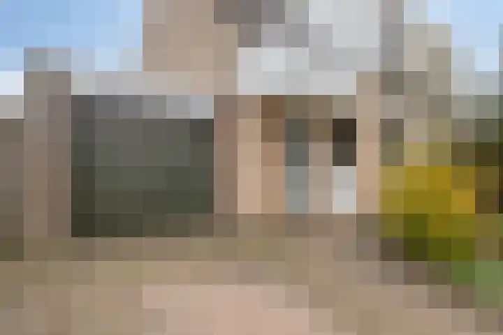 Hazeleger 46 Zeewolde thumbnail 6