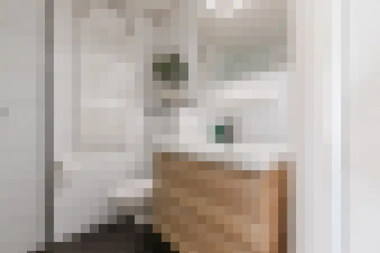 Hazeleger 49 Cuijk thumbnail 22