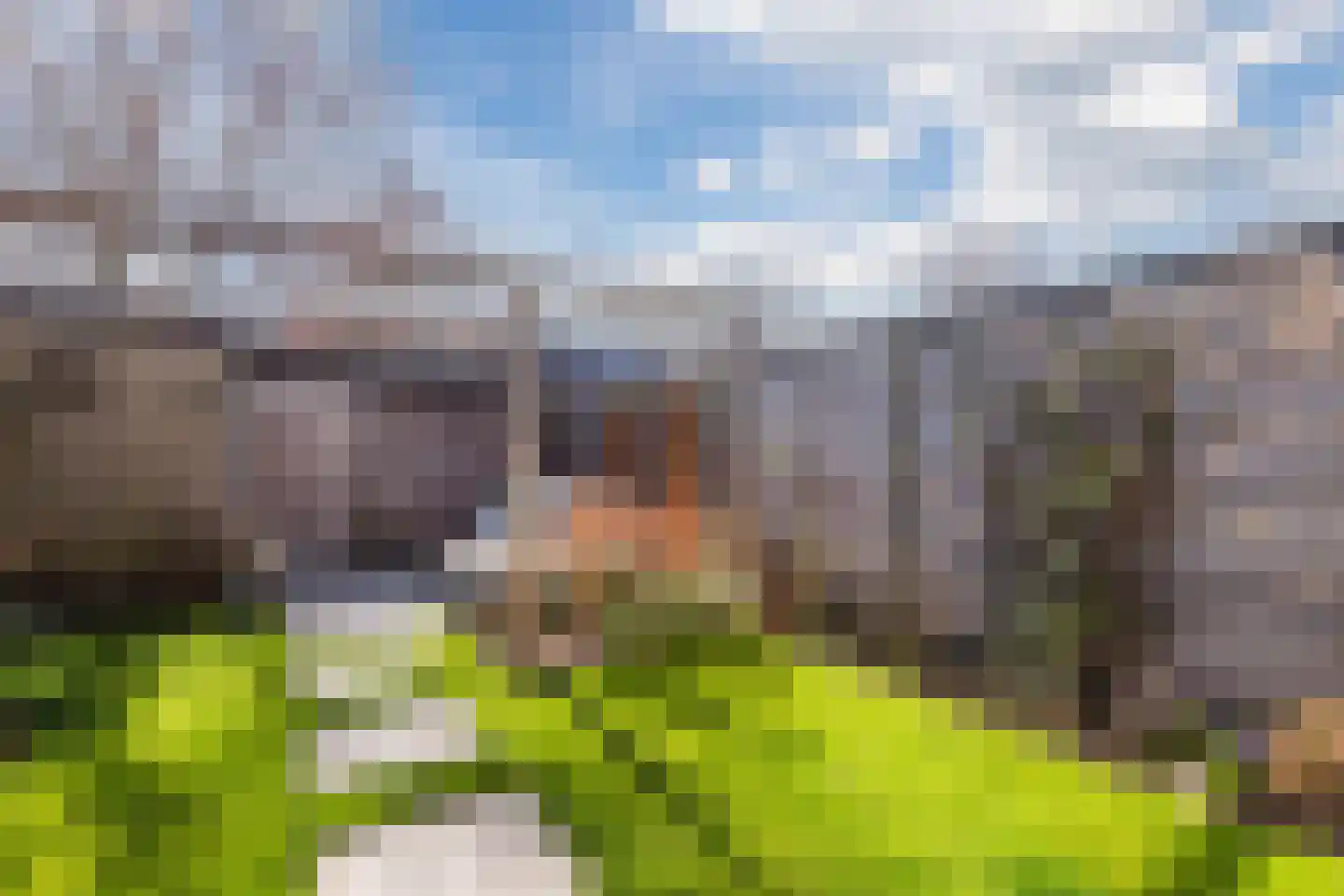 Hazeleger 49 Cuijk thumbnail 27