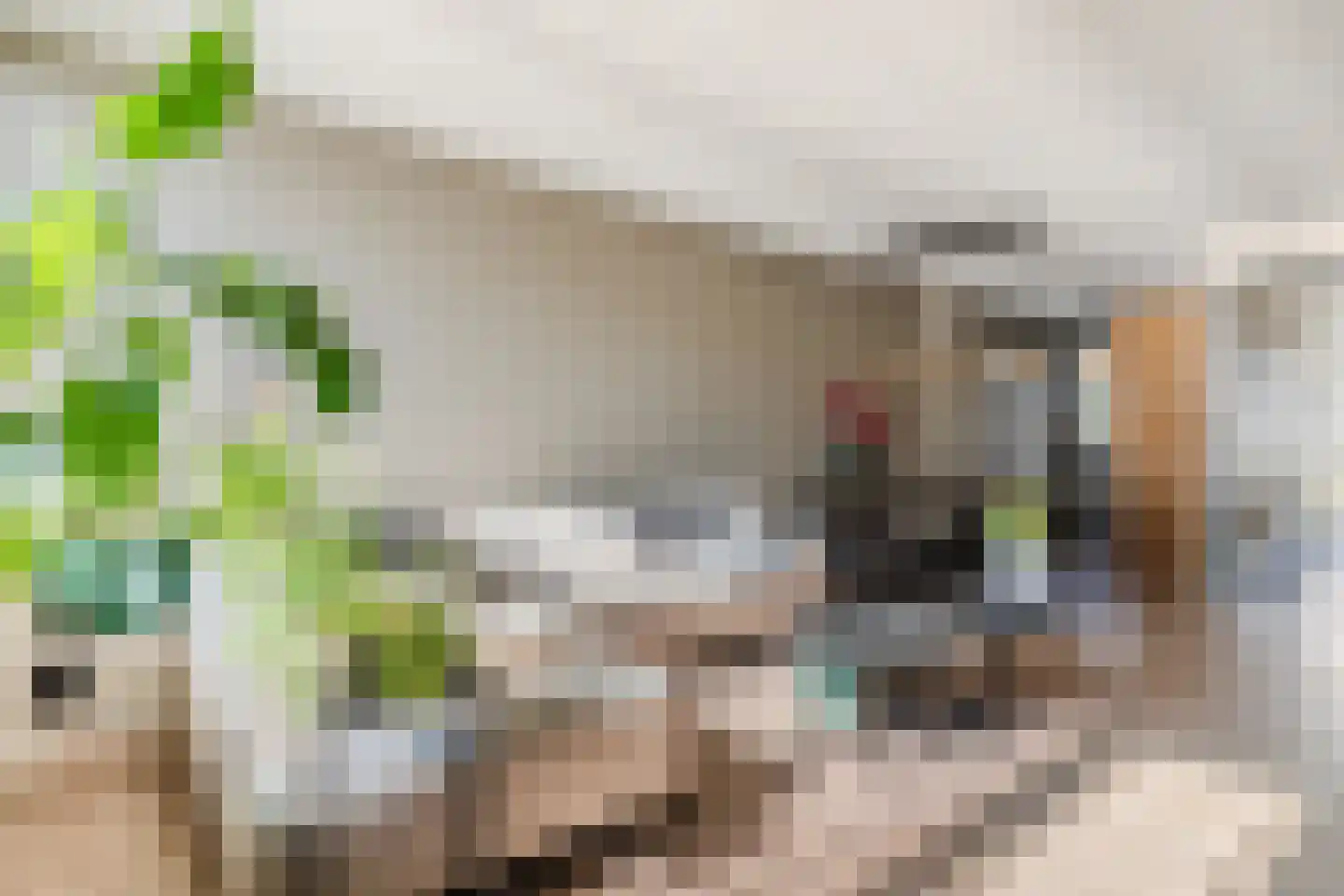 Hazeleger 49 Cuijk thumbnail 6
