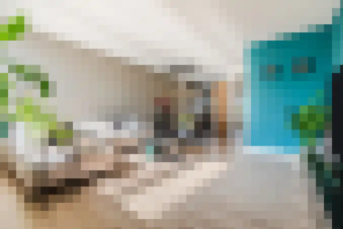 Hazeleger 49 Cuijk thumbnail 7