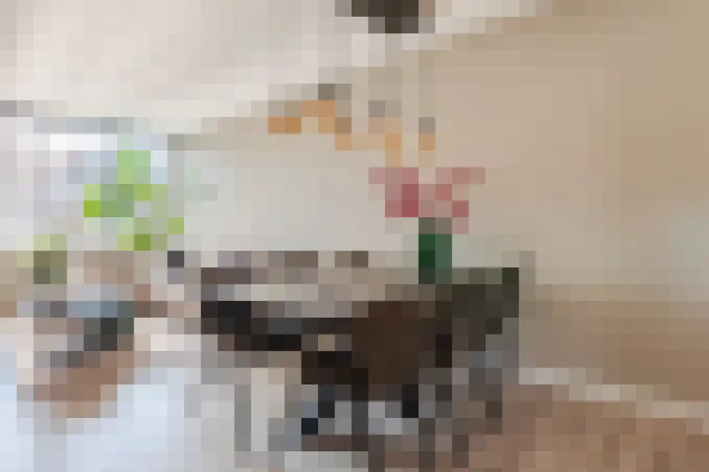 Hazeleger 49 Cuijk thumbnail 9