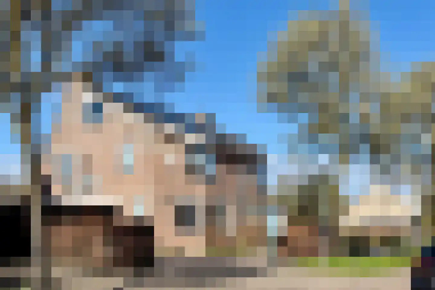 Hazeleger 50 Zeewolde