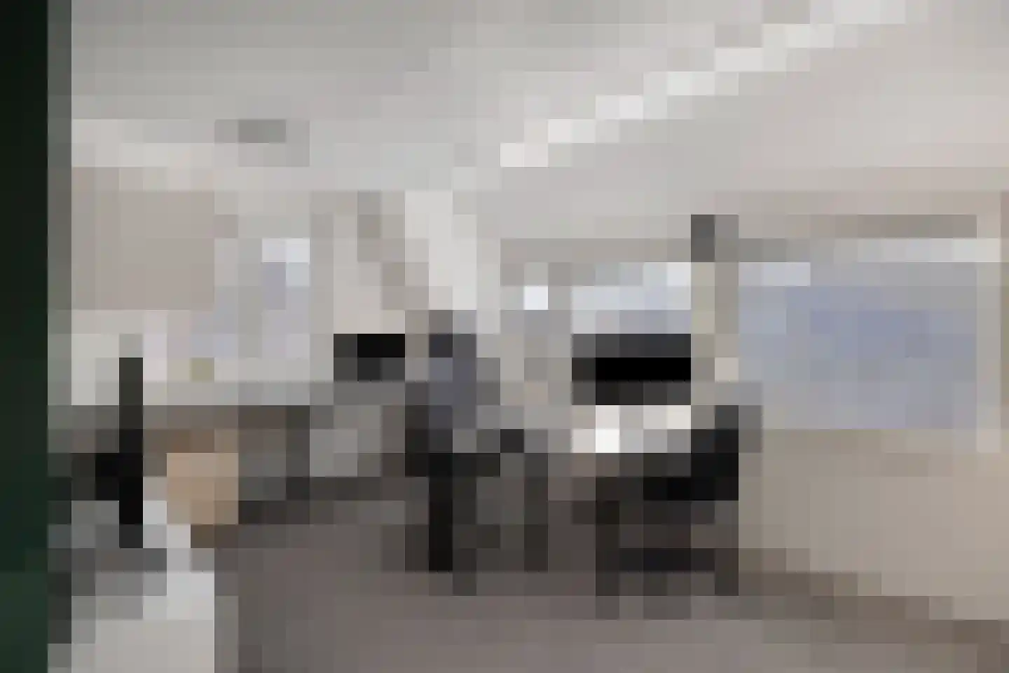 Hazeleger 50 Zeewolde thumbnail 19