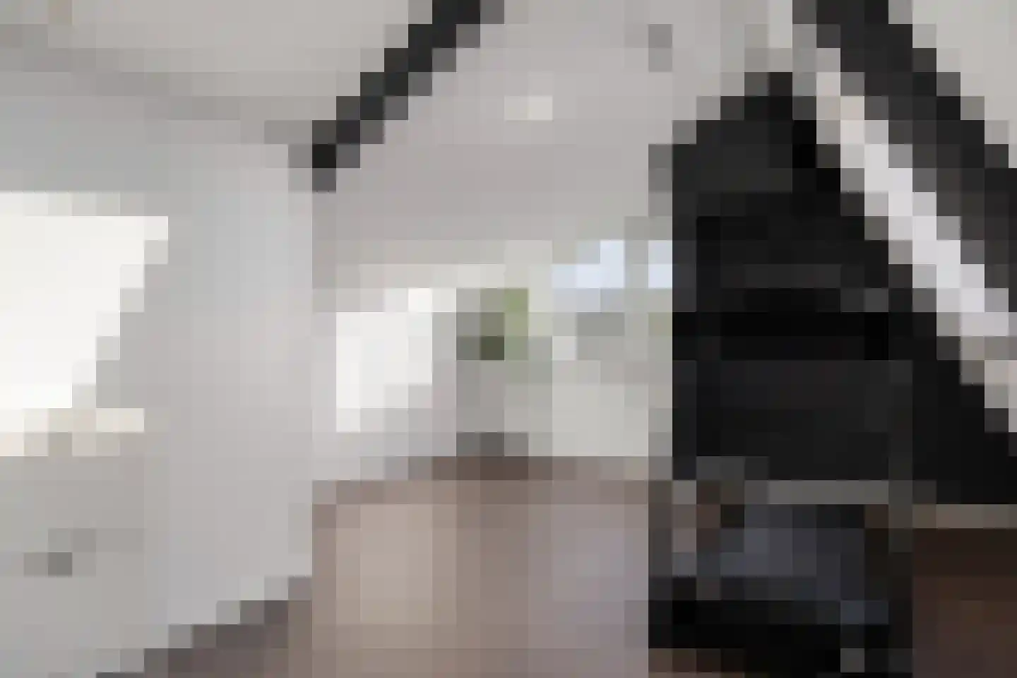 Hazeleger 50 Zeewolde thumbnail 22