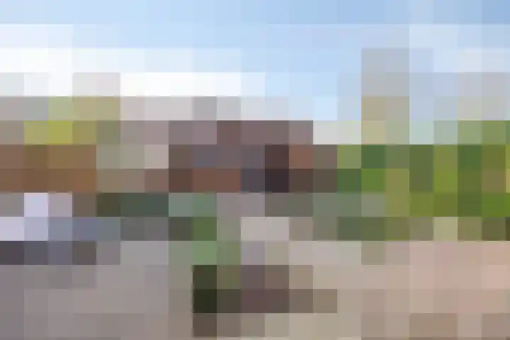 Hazeleger 50 Zeewolde thumbnail 23