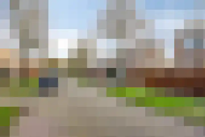 Hazeleger 50 Zeewolde thumbnail 25