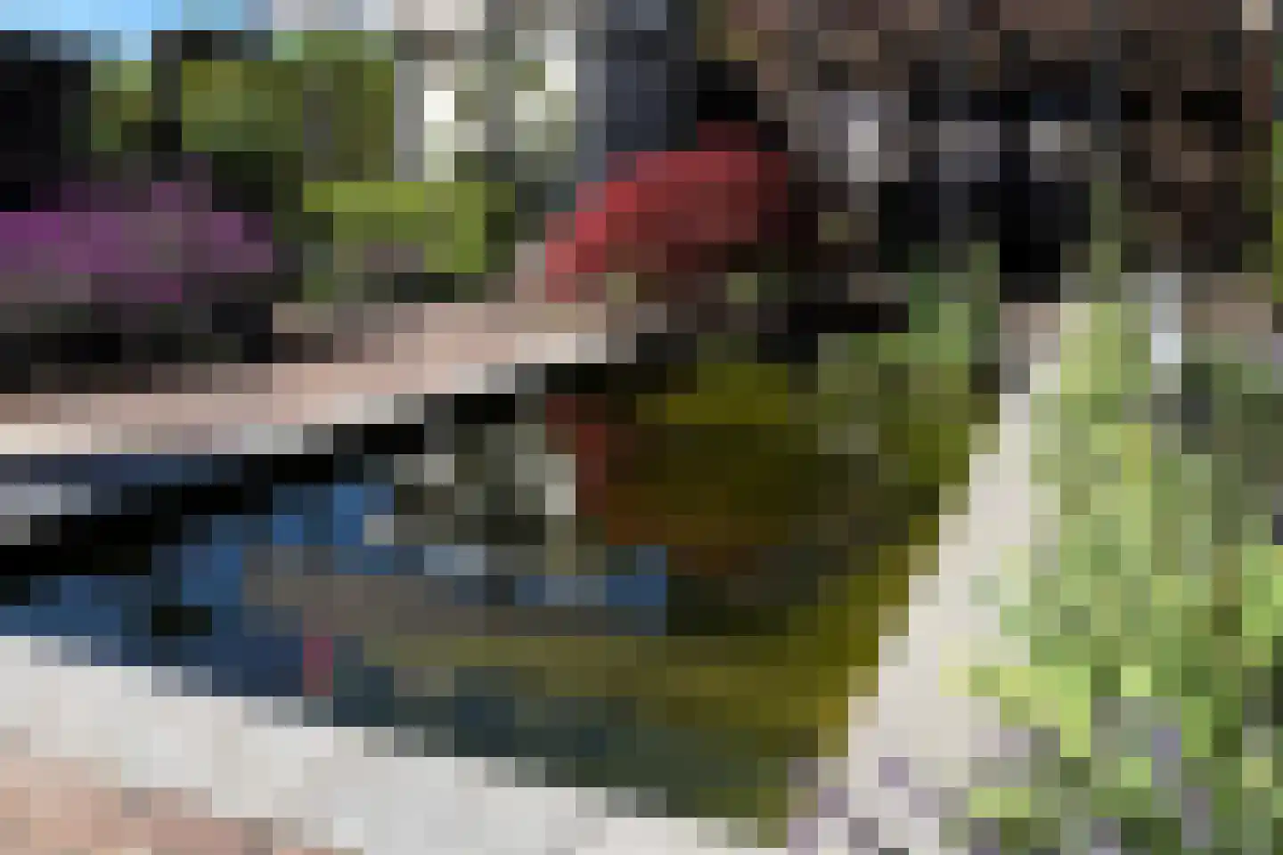 Hazeleger 50 Zeewolde thumbnail 26
