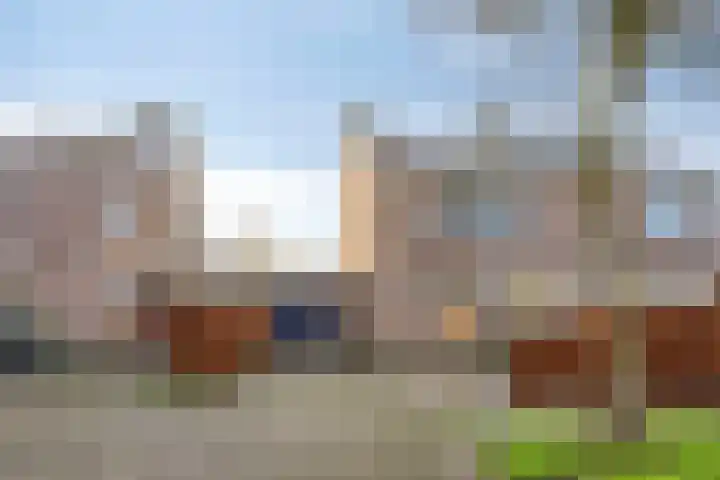 Hazeleger 50 Zeewolde thumbnail 4