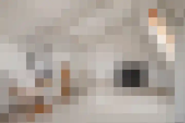 Hazeleger 72 Zeewolde thumbnail 31
