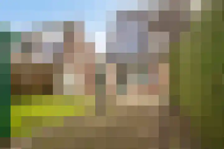 Hazeleger 72 Zeewolde thumbnail 33
