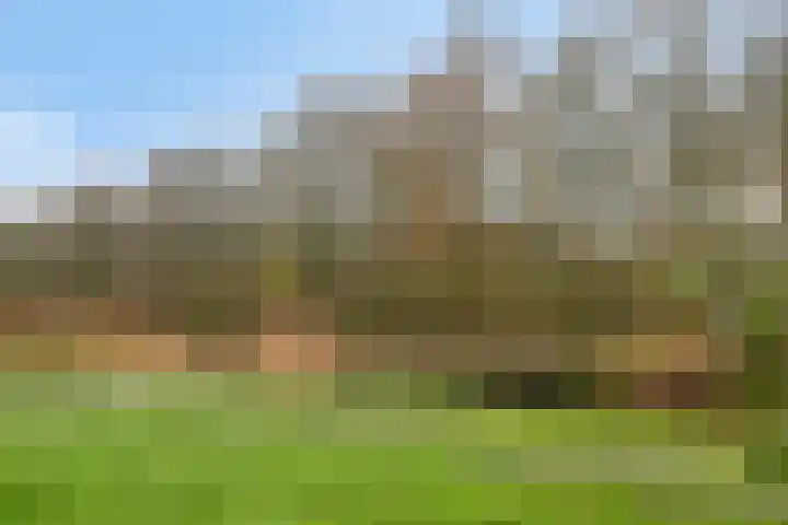 Hazeleger 72 Zeewolde thumbnail 37