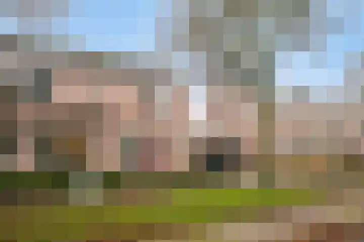 Hazeleger 72 Zeewolde thumbnail 5