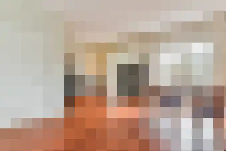 Hazeleger 8 Blaricum thumbnail 10