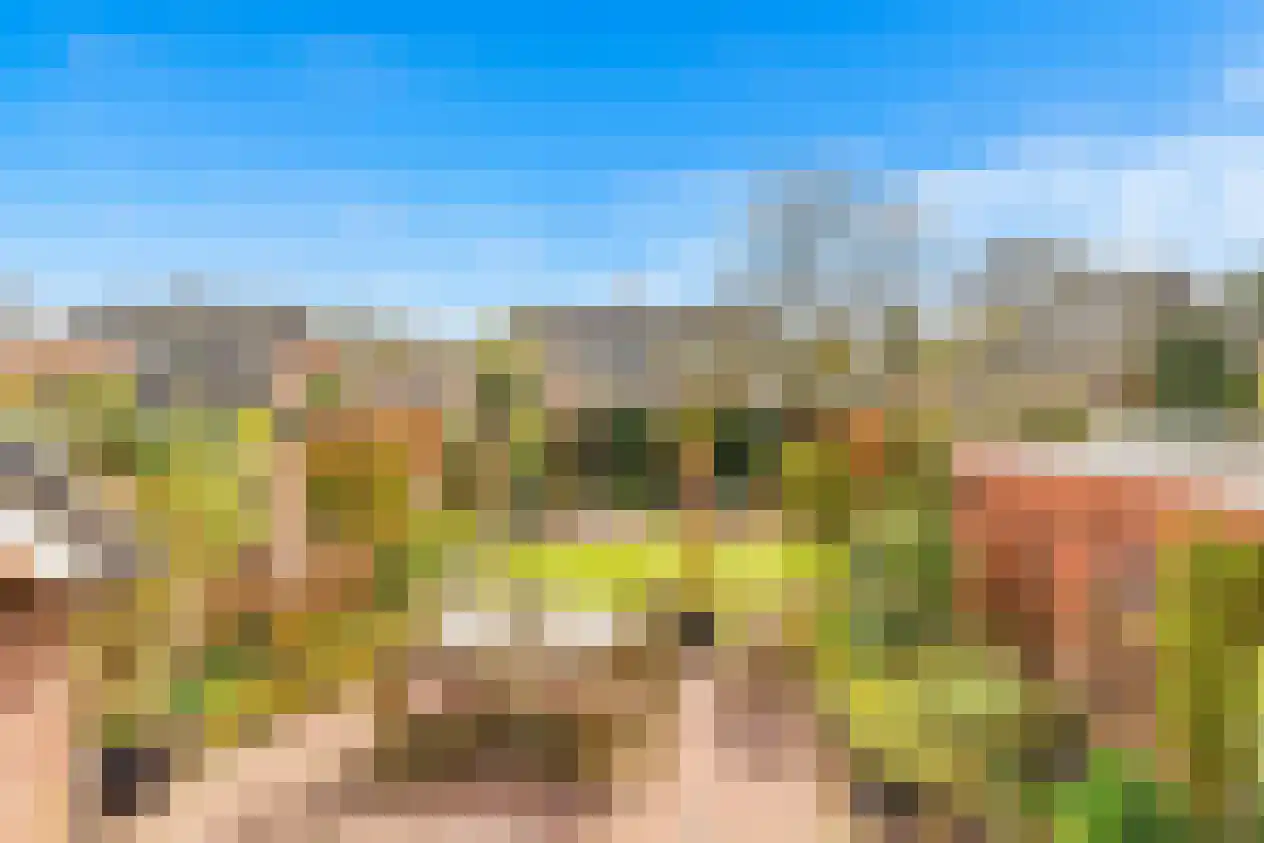 Hazeleger 8 Blaricum thumbnail 11