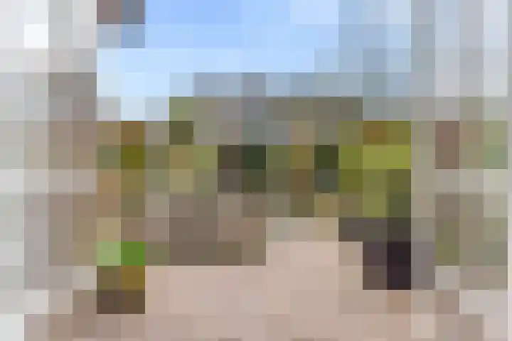 Hazeleger 8 Blaricum thumbnail 12