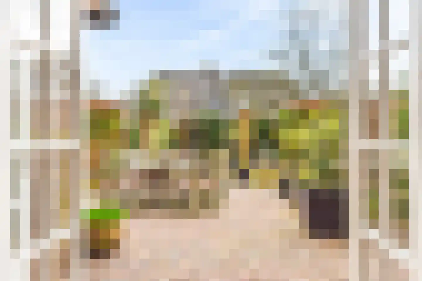 Hazeleger 8 Blaricum thumbnail 12