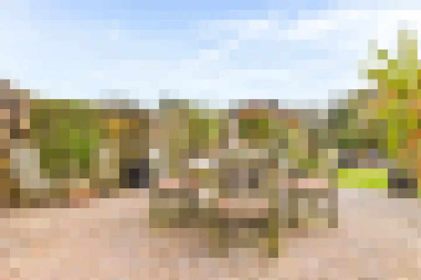 Hazeleger 8 Blaricum thumbnail 13