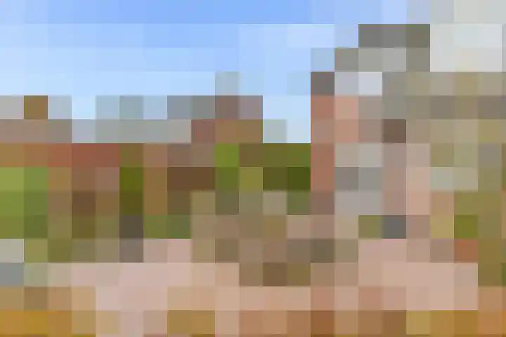 Hazeleger 8 Blaricum thumbnail 13
