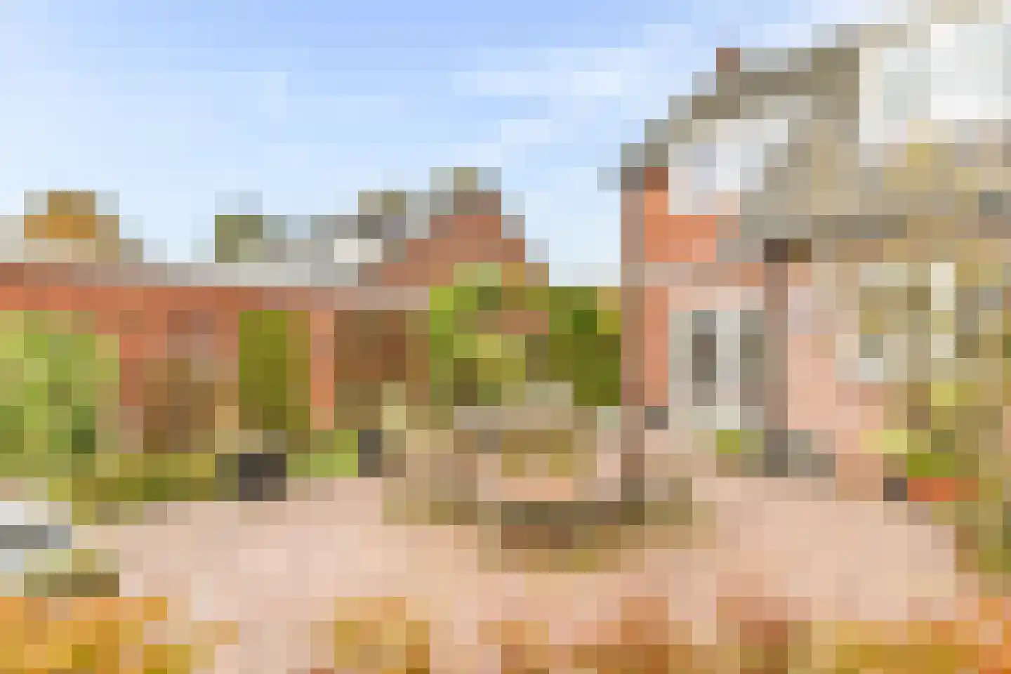 Hazeleger 8 Blaricum thumbnail 14
