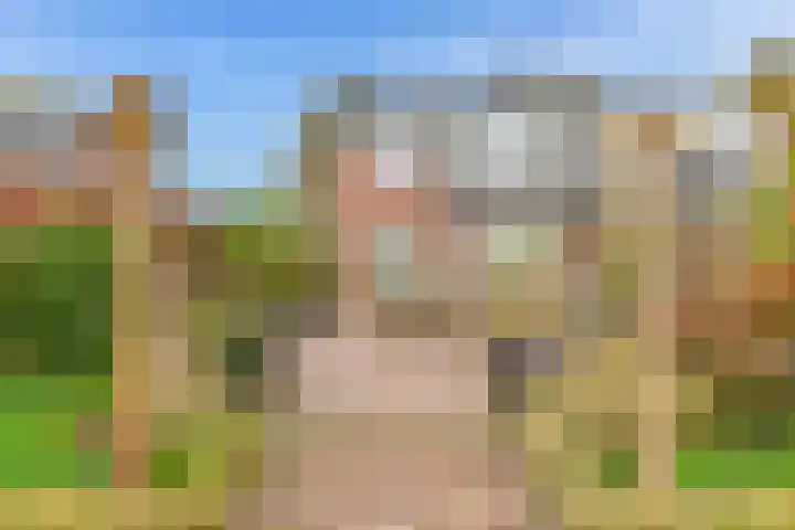 Hazeleger 8 Blaricum thumbnail 14