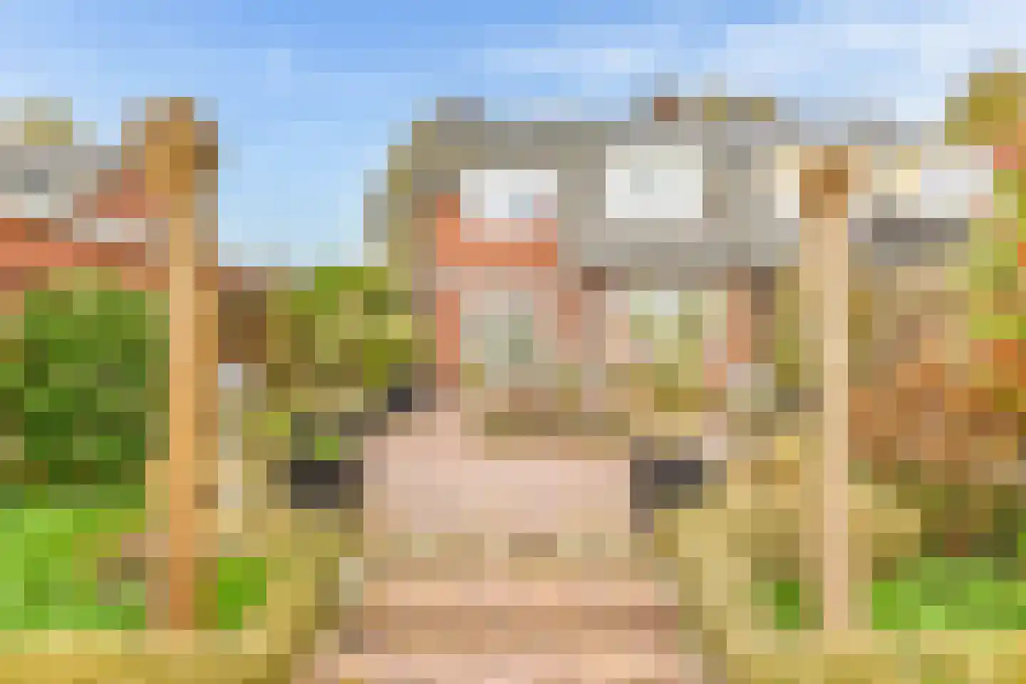 Hazeleger 8 Blaricum thumbnail 15