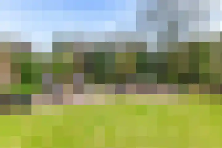 Hazeleger 8 Blaricum thumbnail 15