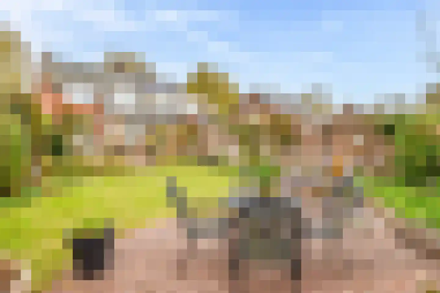 Hazeleger 8 Blaricum thumbnail 17