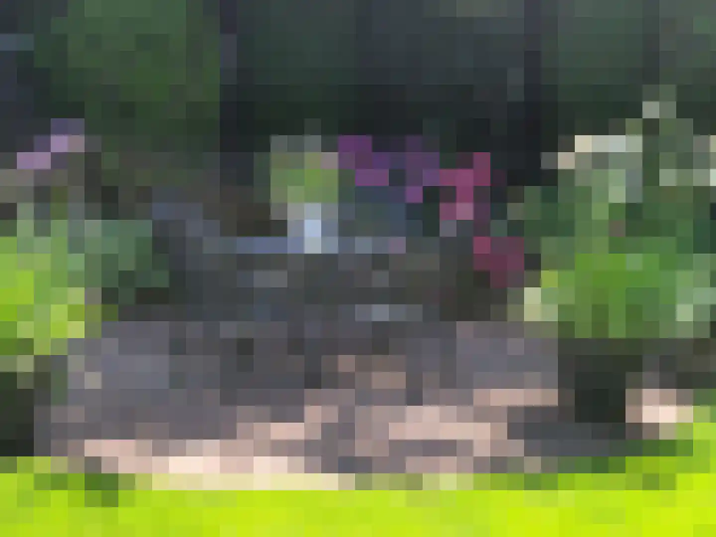 Hazeleger 8 Blaricum thumbnail 17