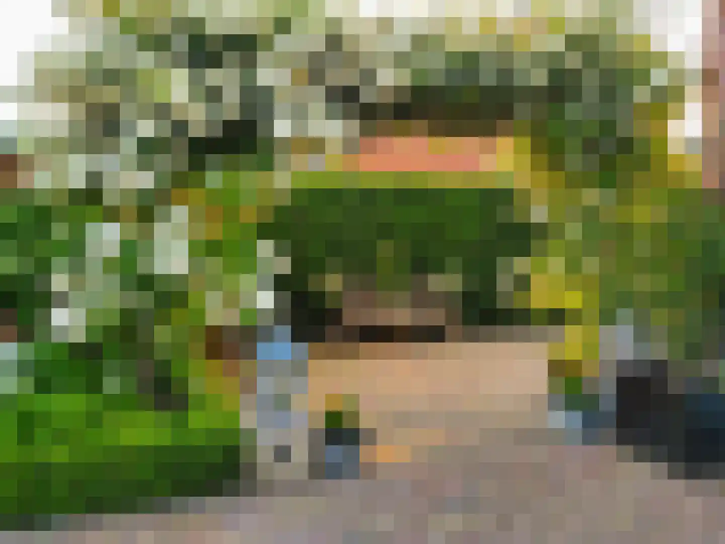 Hazeleger 8 Blaricum thumbnail 20