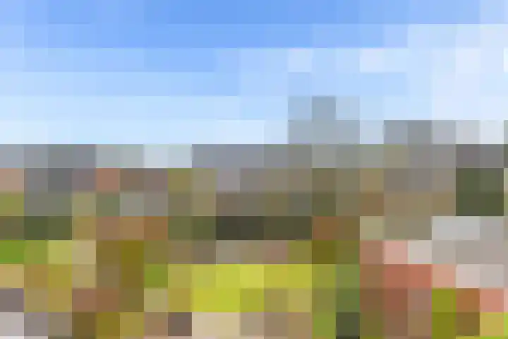 Hazeleger 8 Blaricum thumbnail 20