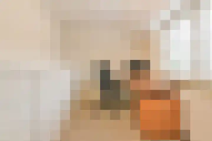 Hazeleger 8 Blaricum thumbnail 24