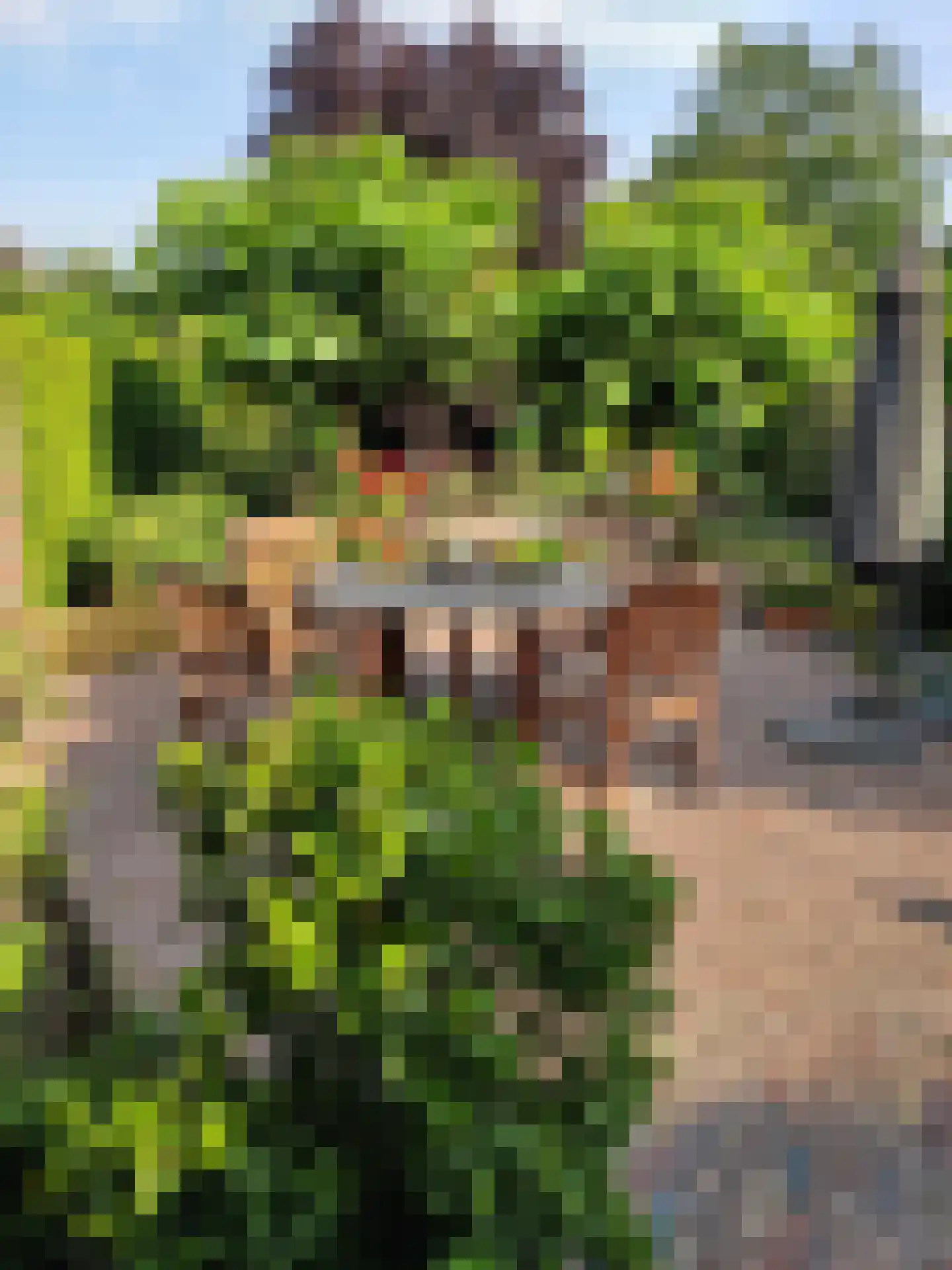 Hazeleger 8 Blaricum thumbnail 4