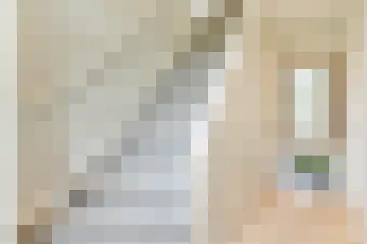 Hazeleger 8 Blaricum thumbnail 4