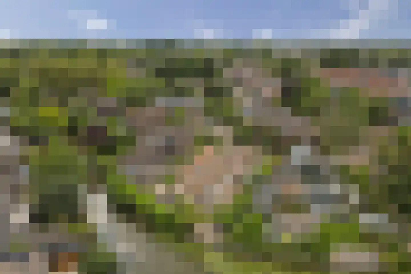 Hazeleger 8 Leerdam thumbnail 54