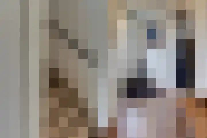 Hazeleger 9 Zeewolde thumbnail 18
