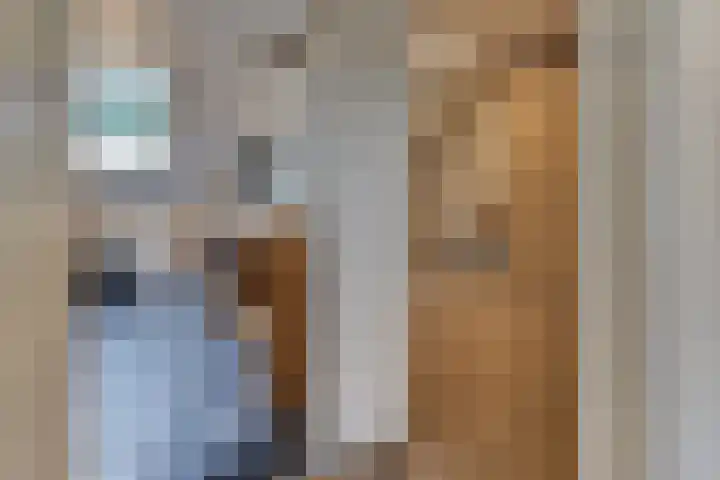 Hazeleger 9 Zeewolde thumbnail 19