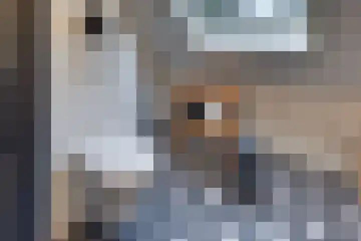 Hazeleger 9 Zeewolde thumbnail 21